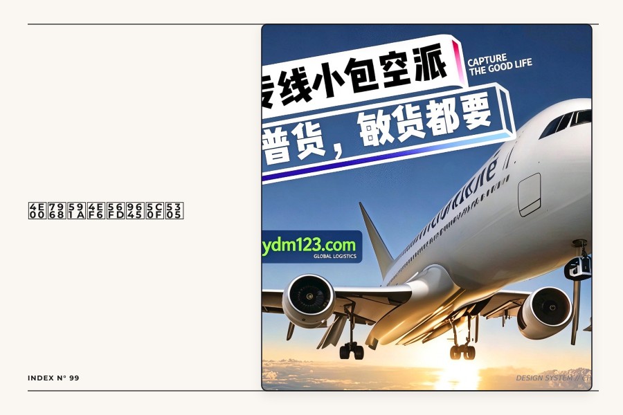 一票多件国际小包