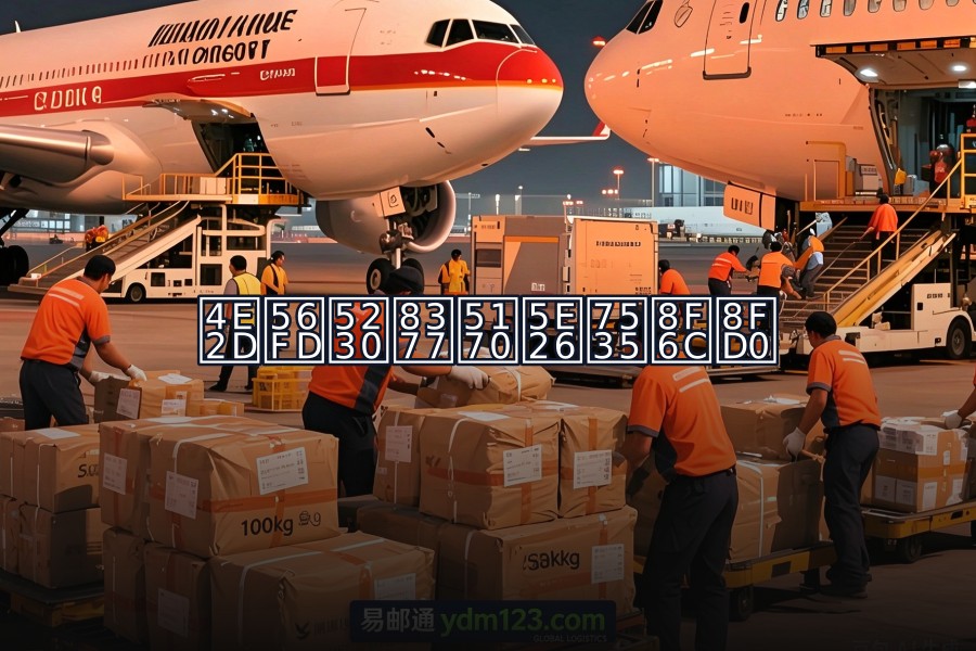 中国到荷兰带电转运