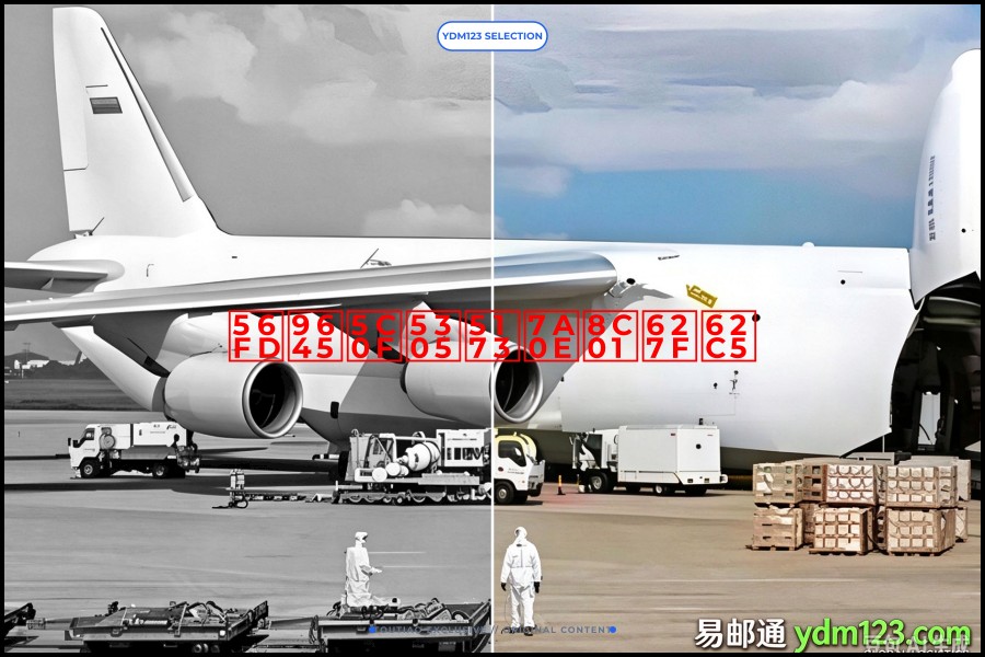 国际小包关税谁承担