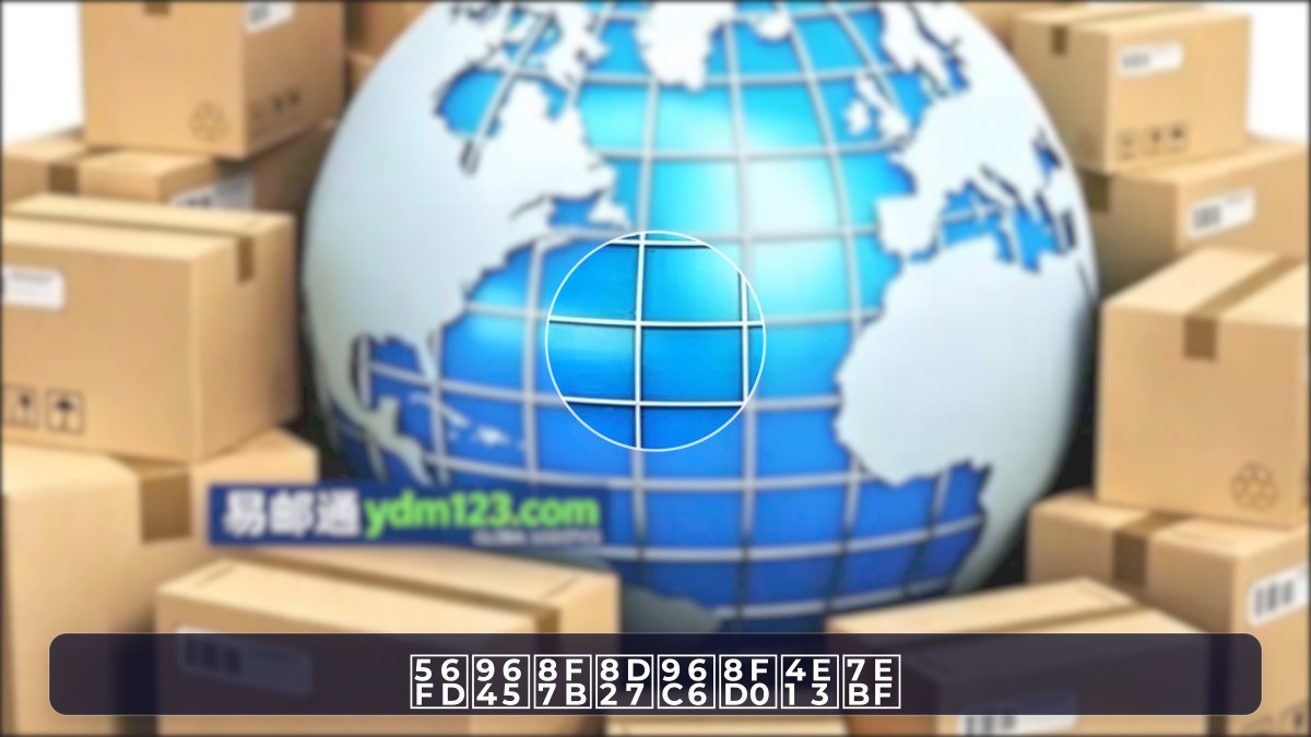 国际轻货集运专线
