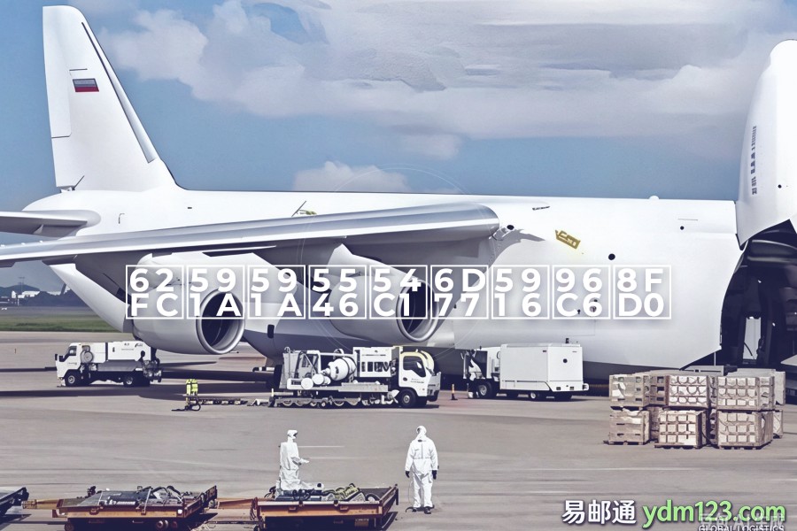 拼多多商品海外集运