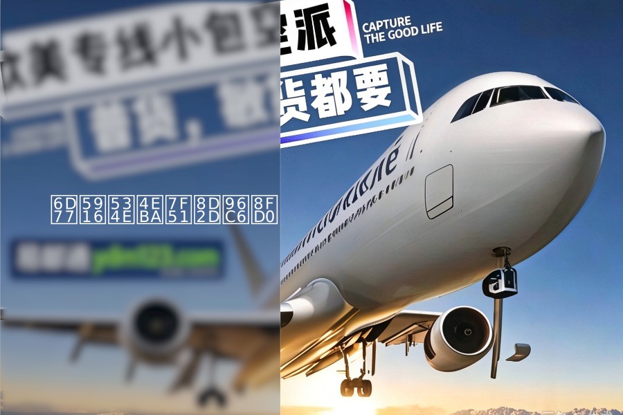 海外华人网购集运