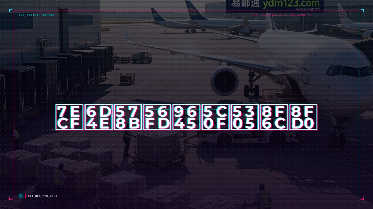 经济型国际小包转运
